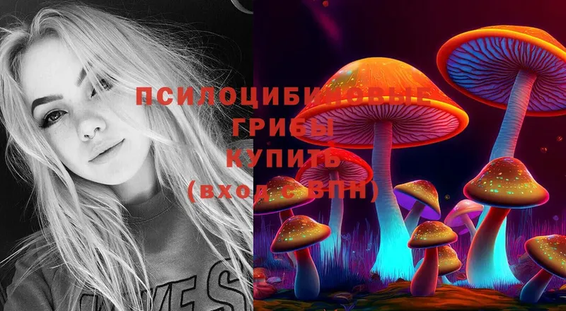 наркотики  Биробиджан  Галлюциногенные грибы MAGIC MUSHROOMS 